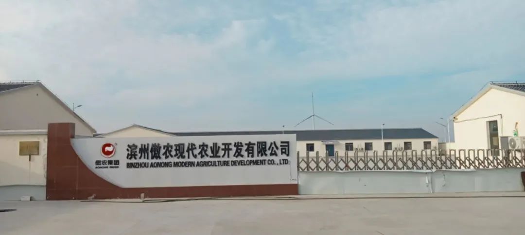 9001诚信金沙(中国)有限公司