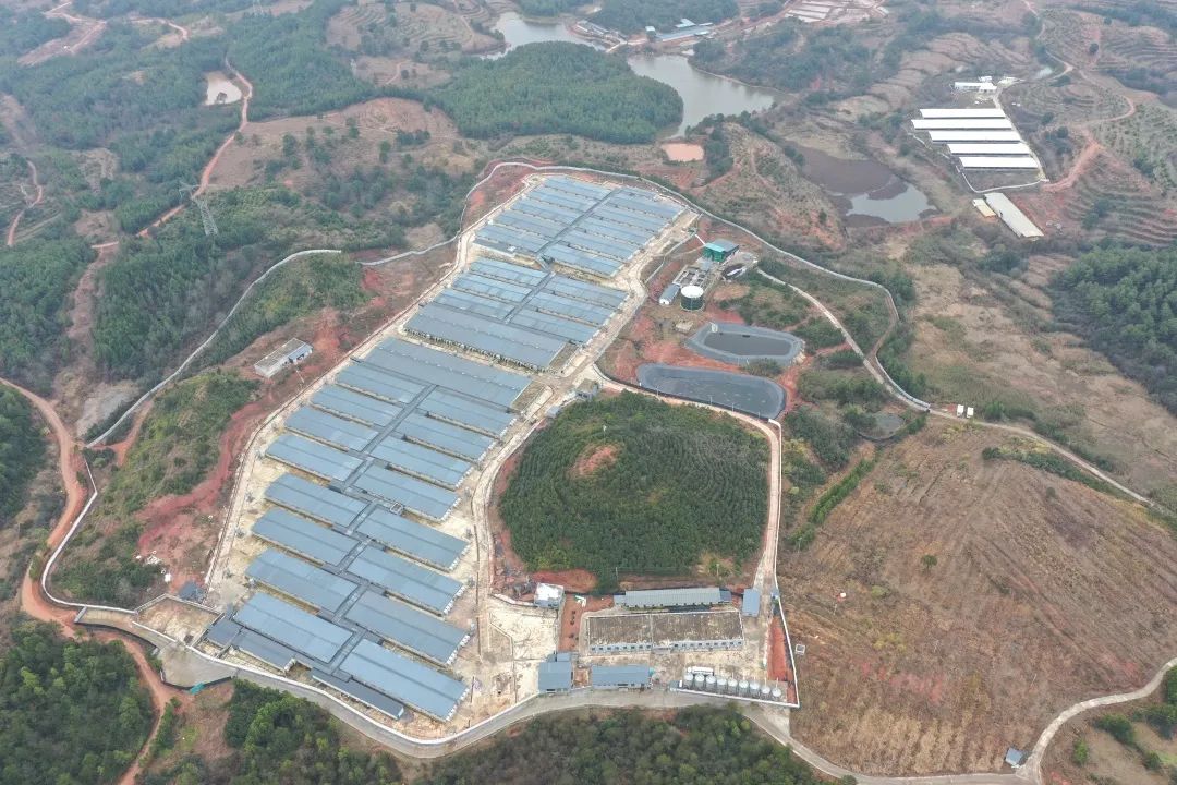 9001诚信金沙(中国)有限公司