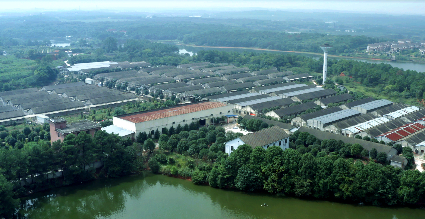 9001诚信金沙(中国)有限公司