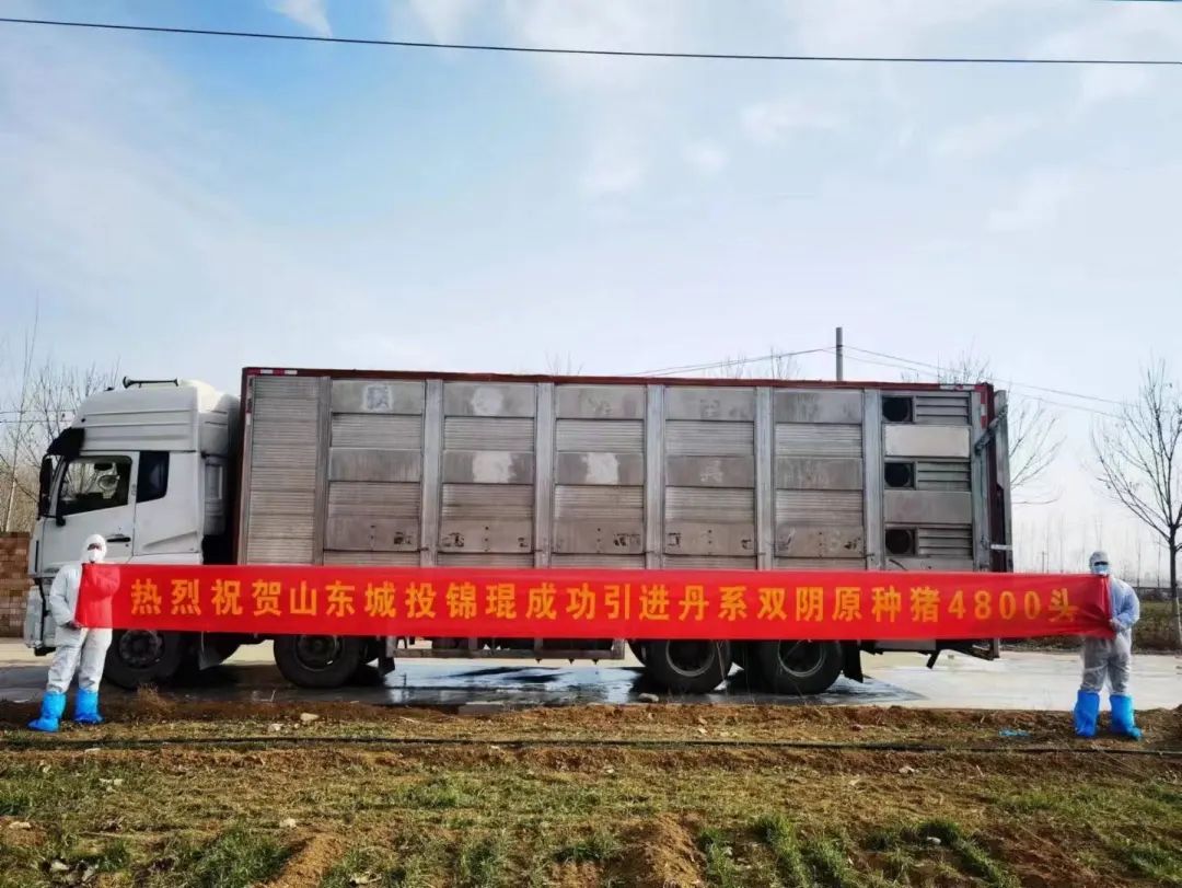 9001诚信金沙(中国)有限公司