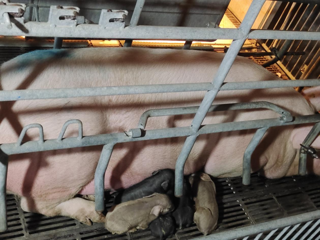 9001诚信金沙(中国)有限公司