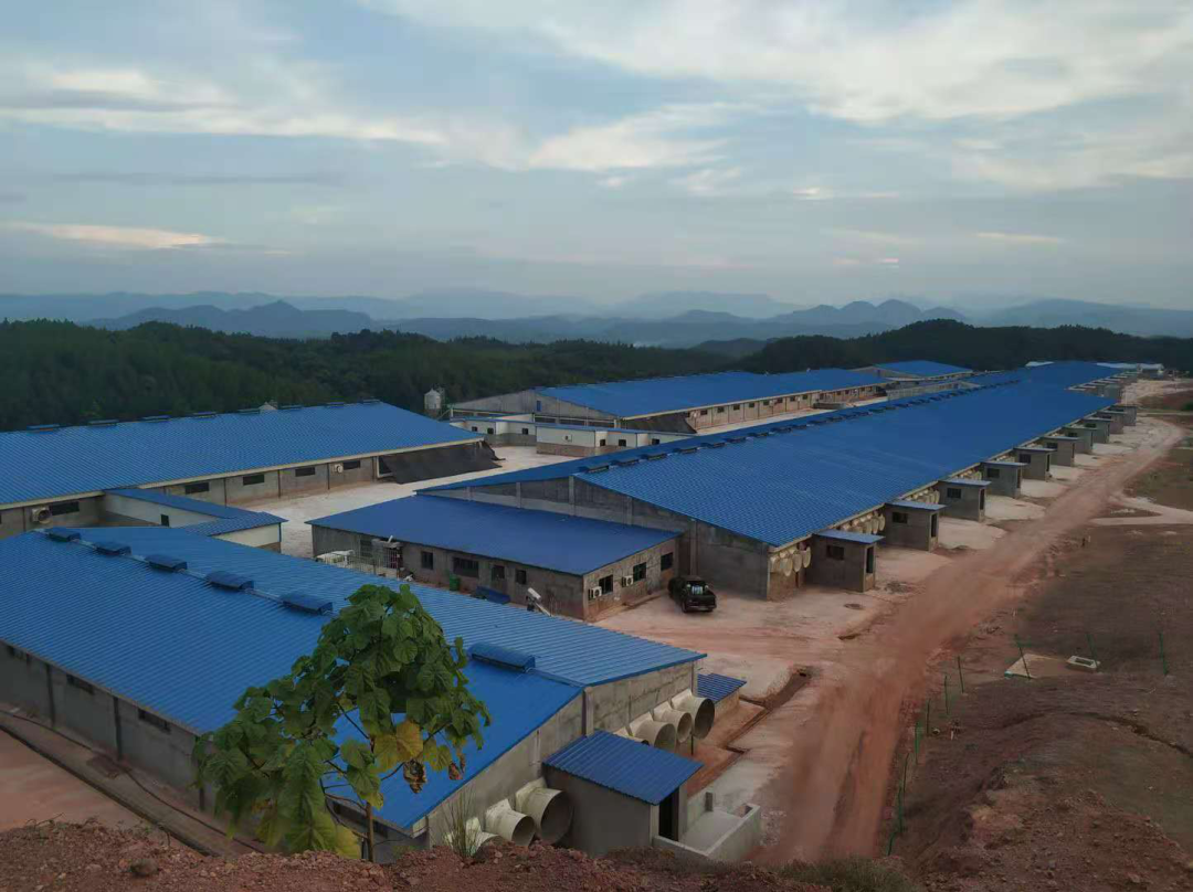 9001诚信金沙(中国)有限公司