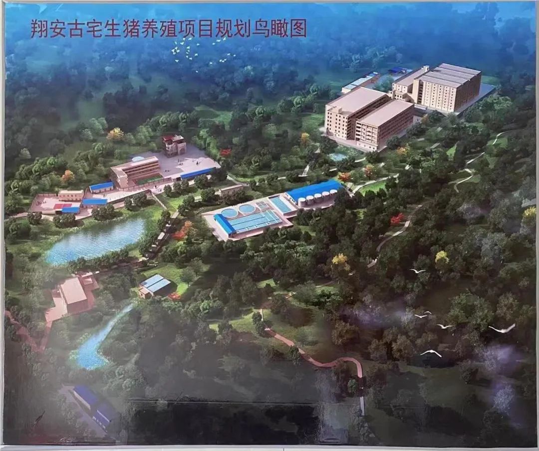 9001诚信金沙(中国)有限公司